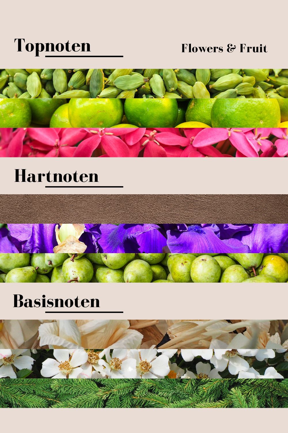 Flowers & Fruit | Wasparfum | Fris & zoet